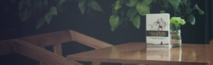 Table de jardin